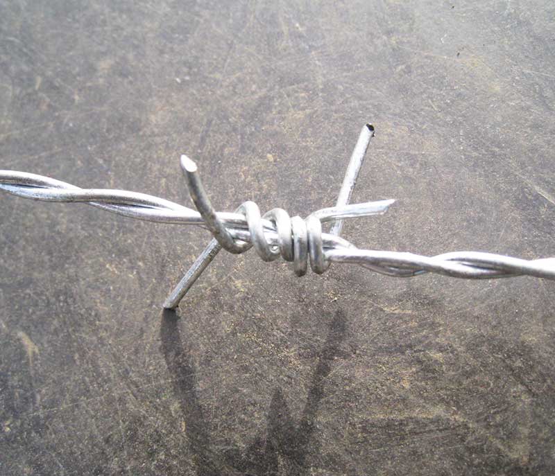 barbed wire