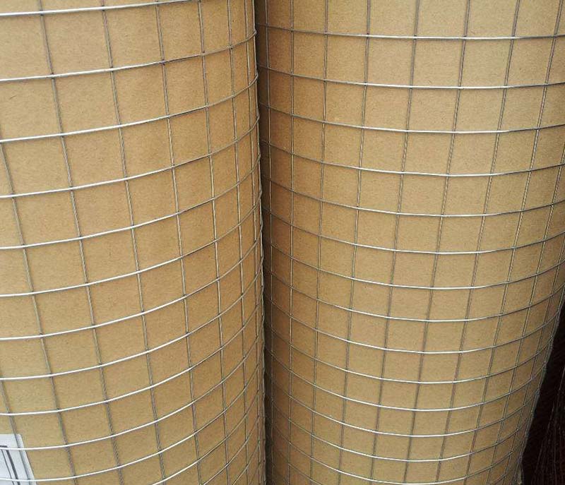 Welded Wire Mesh